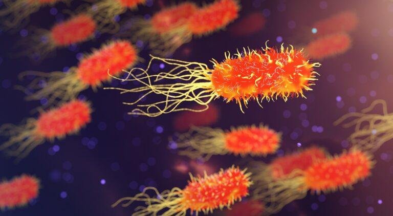 Bacteria with recording function capture gut health status