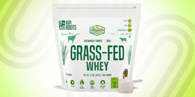 Best Protein Powders 2022 | Protein Powders for Women and Men
