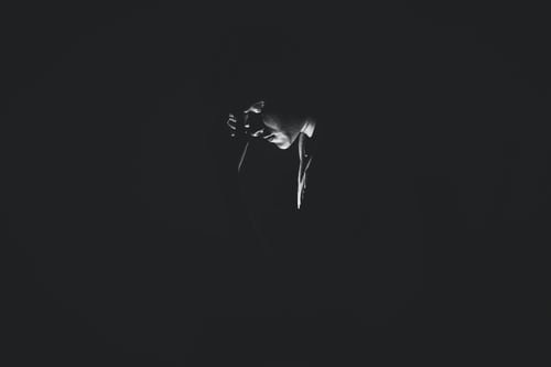 Holistic Treatment of Chronic Pain | VoiceAmerica Press Blog | Internet Talk Radio News