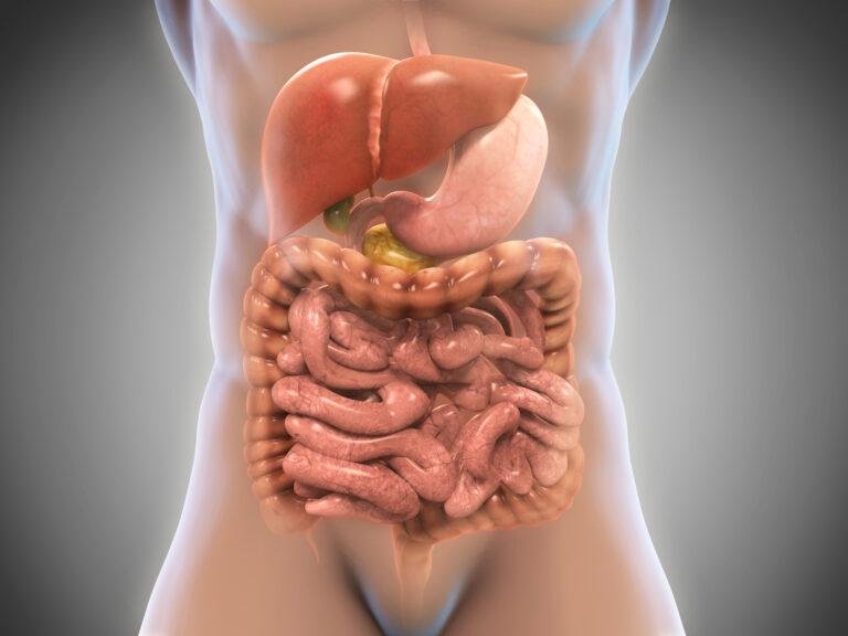 How to Detox Your Belly Each Morning