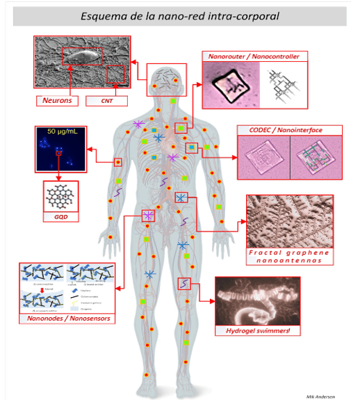 The Technology Used In The Covid Agenda - Injected People Emit EMF (video Interview With Maria Zeee, Hope & Tivon) | Holistic Health Online