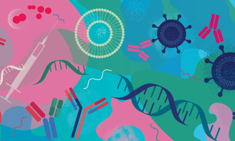 We're on the cusp of spellbinding advances in treating malaria and tuberculosis thanks to mRNA technology used in COVID vaccine breakthroughs - Genetic Literacy Project