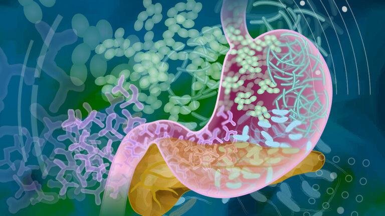 11 Microbiome Health EBooks & Guides | Holistic Health Online