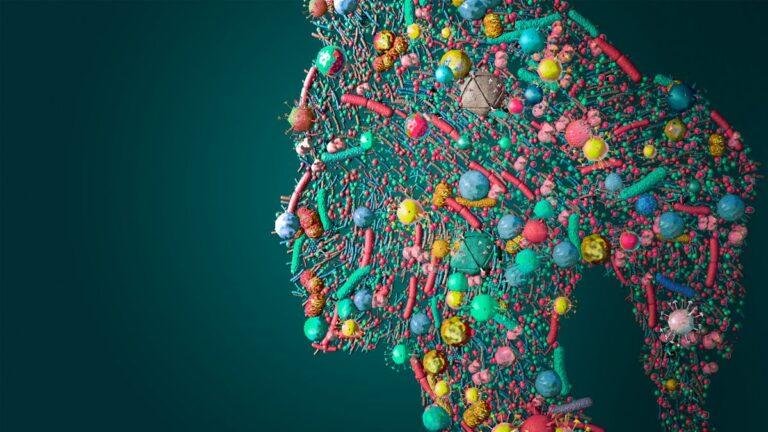 Does gut health affect skin? | Live Science