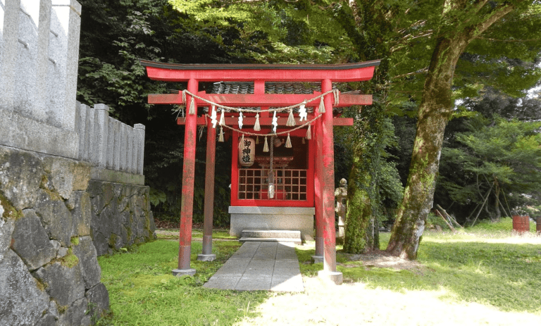 Japan Launches Official Investigation Into Millions Of mRNA Vaccine Deaths