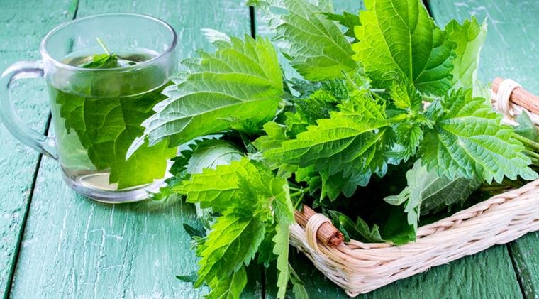 Natural Remedies for Gout