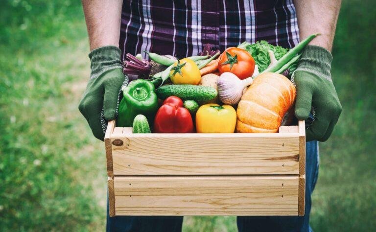 The USDA Can't Stop Organic Food Fraud