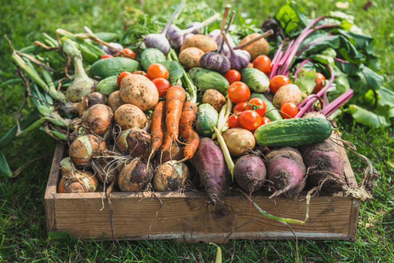 Three vegetarian, vegan and organic food companies in Essex | Great British Life