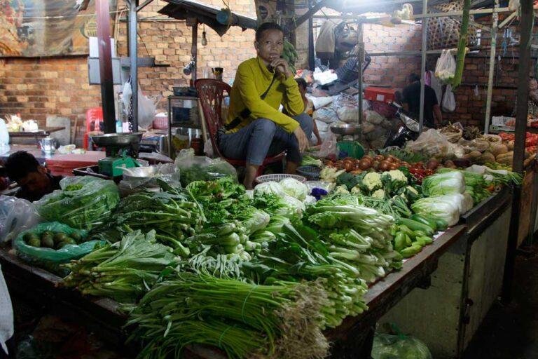 Hun Sen calls for organic food, international safety standards