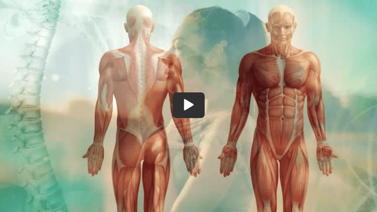 [This Week] Learn About Fascia & Pain-free Living From Expert Talks & EBooks | Holistic Health Online