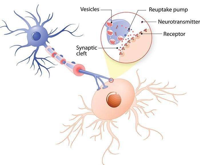 What Is Dopamine Detox?