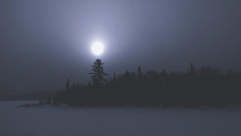 What the Full Moon in Cancer Means for You - Yoga Journal