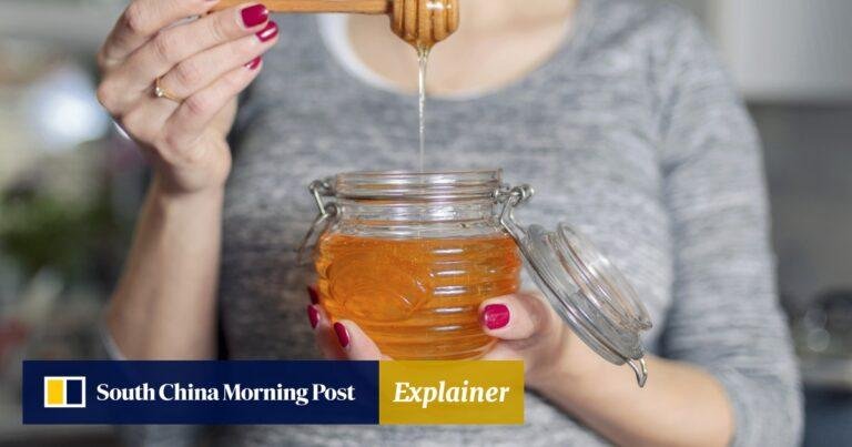 8 gut health benefits of living according to Ayurveda, Indian traditional medicine, and how it strengthens your immune system | South China Morning Post