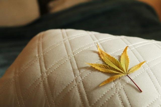 Sleep Better With These Six Natural Medicines