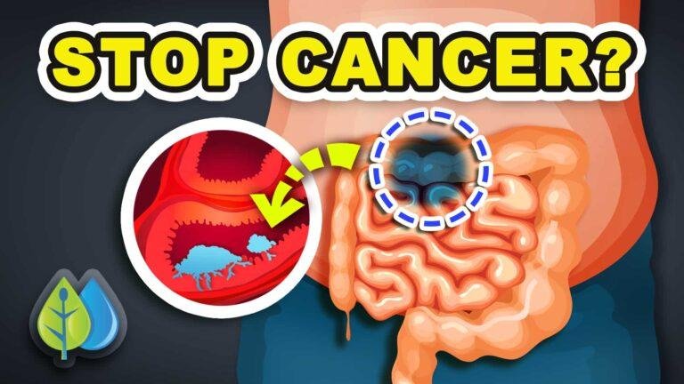 Top 10 Anti-Cancer foods that you need to eat