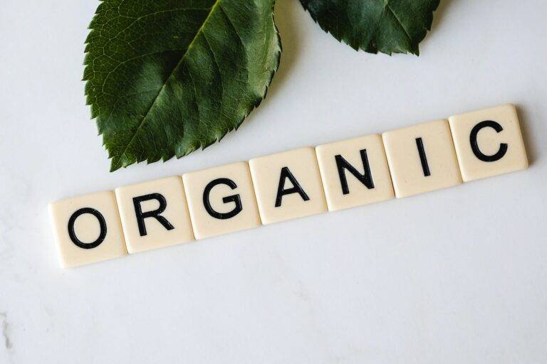 Organic Food WordPress Themes for Healthy Food Websites - Colorlib