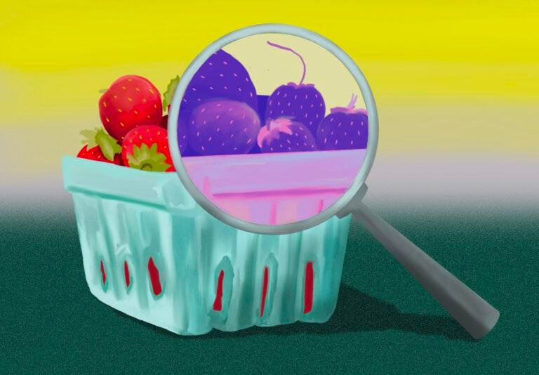 Can You Trust the Organic Food Label?