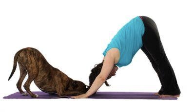 Don’t Force Young Animals Into Yoga Poses for Entertainment