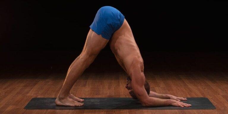 How to Do Dolphin Pose in Yoga + Benefits | BODi