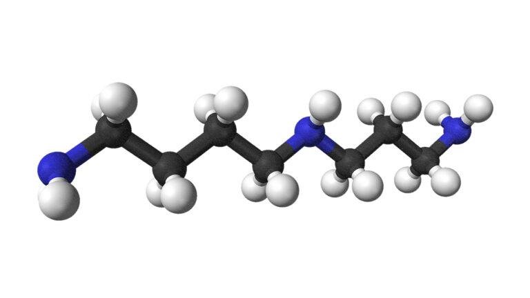 Is spermidine a legitimate anti-aging supplement?
