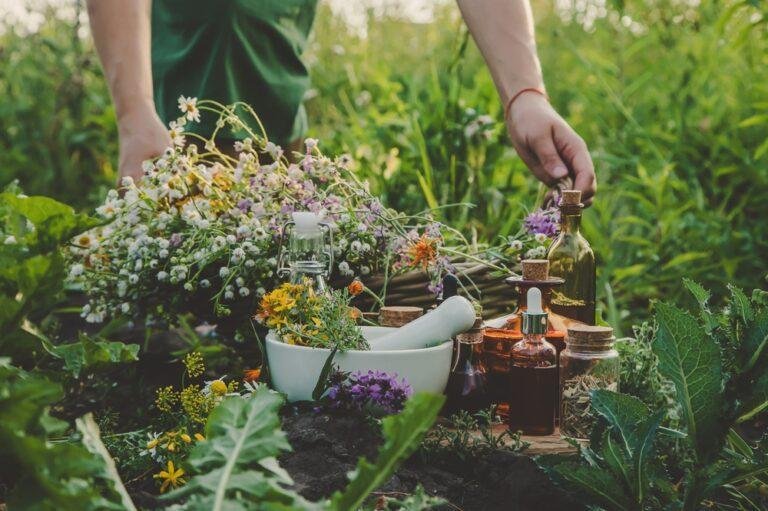 10 Proven Herbs for Combating Anxiety and Depression: Nature's Best Kept Secrets - Juicing for Health