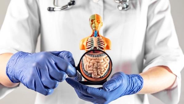 Glyphosate Exposure Linked to Behavioral and Gut Health Concerns in New Studies - Beyond Pesticides Daily News Blog