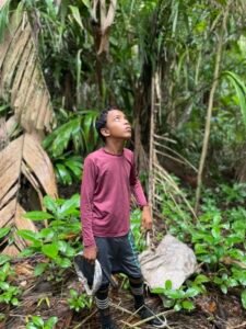 Children in Brazil are climbing 70-foot-high trees so you can eat açaí berries | CNN