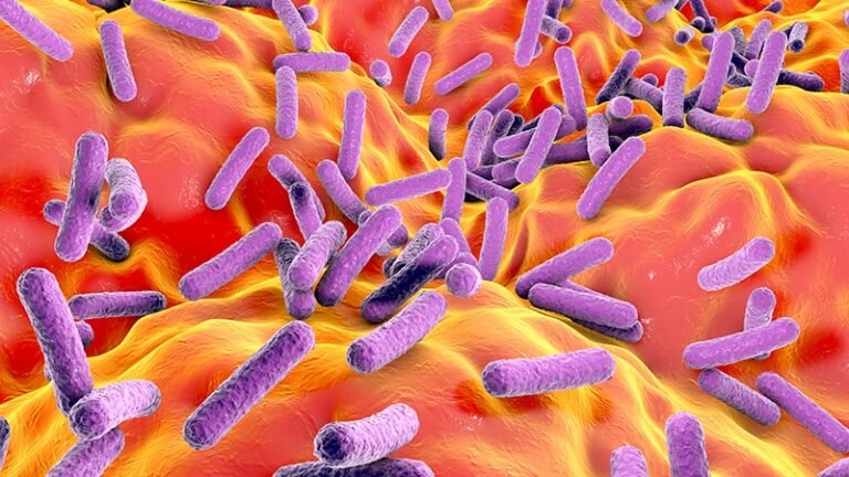 Forget the Shots: Focusing on Gut Health Can Aid Weight Loss