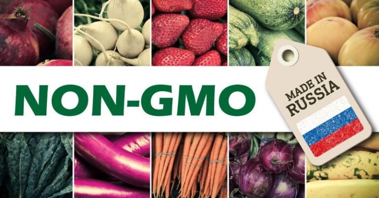 Russia Set To Become Leading Organic Food Exporter