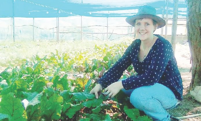 The benefits of organic food for Namibia
