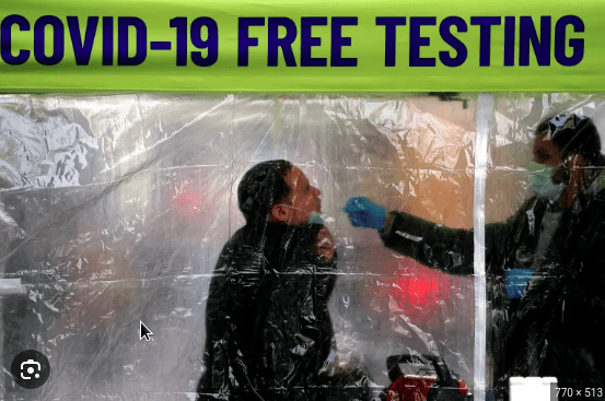 What Really Happened During Covid The 1st Year | Holistic Health Online