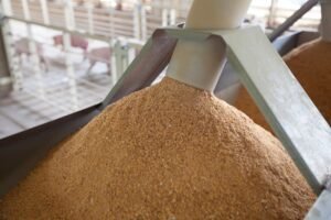 Copper beads in pig feed may improve swine gut health